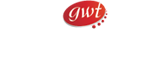 Genetic Web Technologies - A Website Designing Company